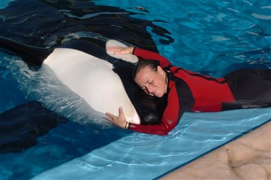 Dawn Brancheau, the SeaWorld trainer killed by an orca, dedicated herself to the animals she considered her own children, friends and family members say.